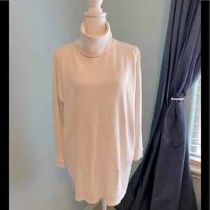 Lulus Turtle Neck Sweater/Tunic